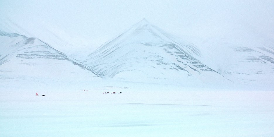 Návštevníci
(2023)