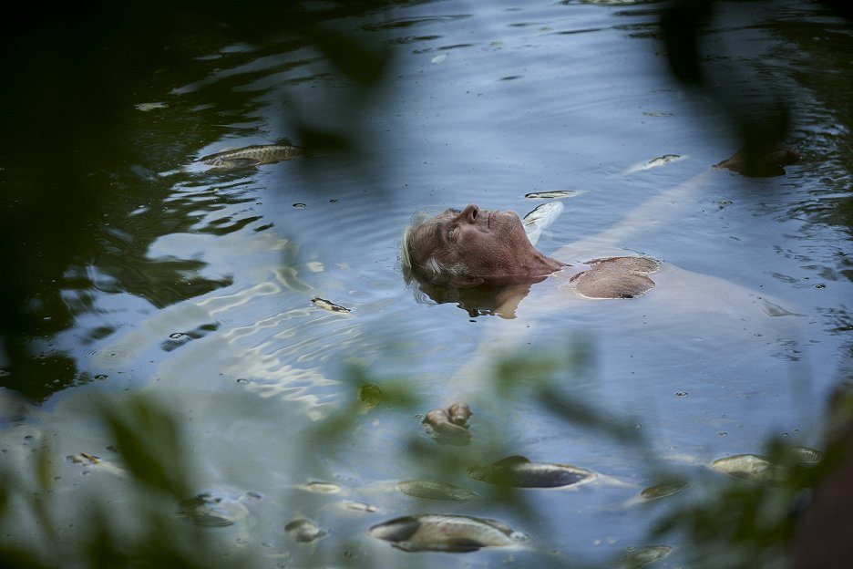 Záhradníkov rok
(2024)